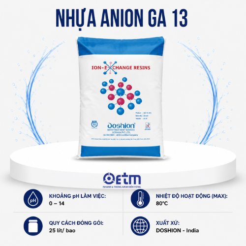 Nhựa Anion GA 13